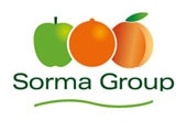 Sorma Group Logo Starflex Sorma Group Logo Starflex